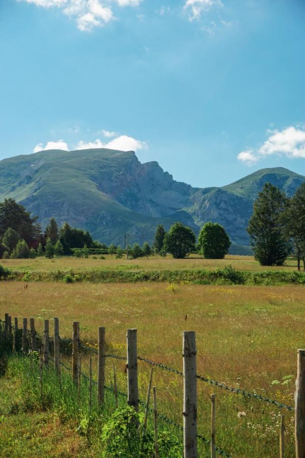Vila Durmitor Nest Krstajic Žabljak Buitenkant foto