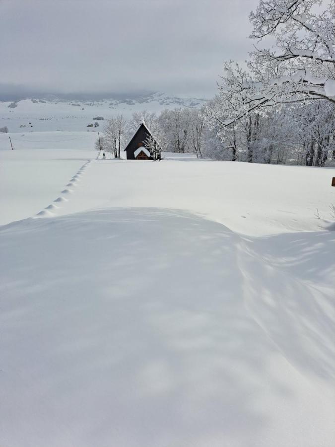 Vila Durmitor Nest Krstajic Žabljak Buitenkant foto