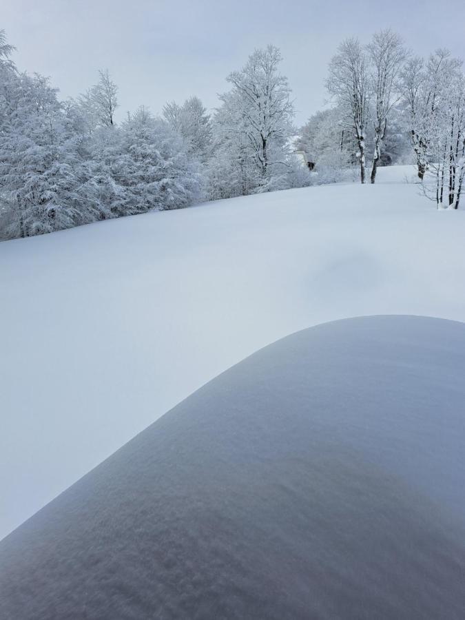 Vila Durmitor Nest Krstajic Žabljak Buitenkant foto